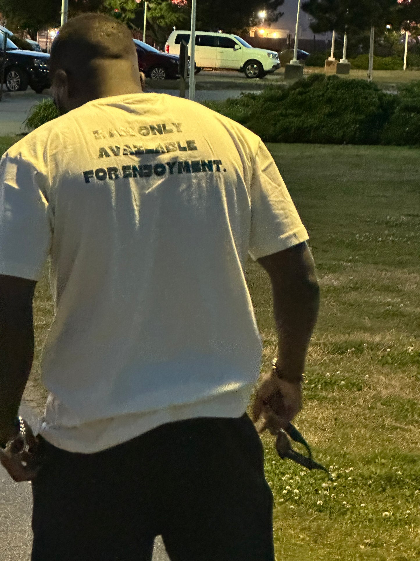 I am only available for enjoyment shirt