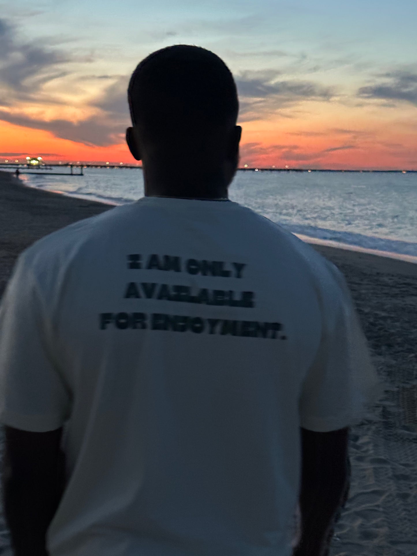 I am only available for enjoyment shirt